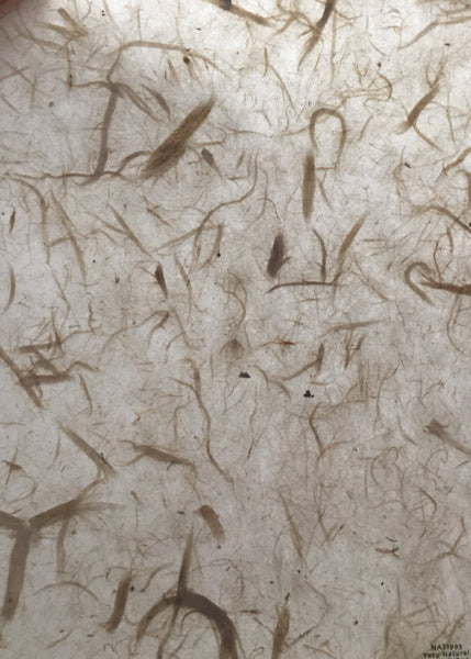 Paper - Japanese Plain (Washi)